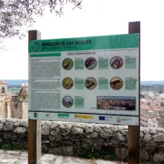 Rutas ornitológicas de Trujillo