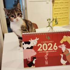 Calendario 2026