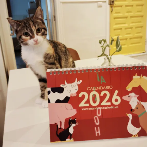 Calendario 2026